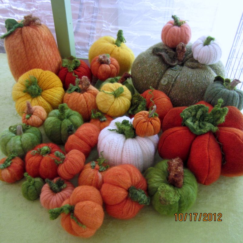 A plethora of Pumpkins