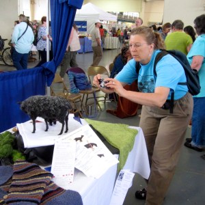 BSG 2013 Fine Arts Contest