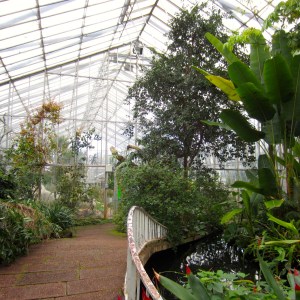 RBG Glasshouses