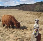 Whimsy cozies up to cattle