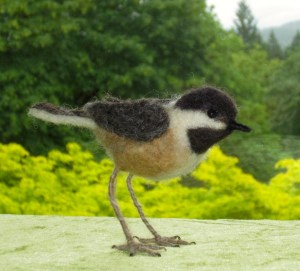 Bird, chickadee