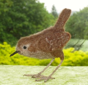 Bird, house wren