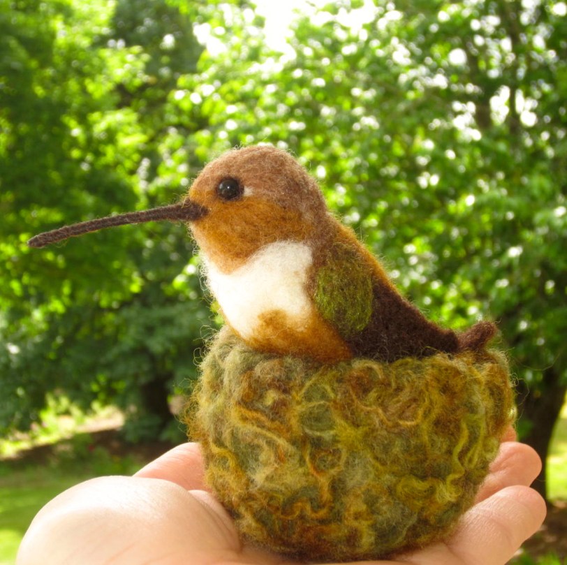 Hummingbird in mossy nest