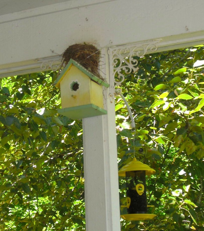 Bird nest, house, feeder